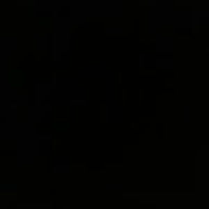 Meet your Posher, Mia